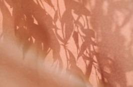 Mood für Onedaybaby 