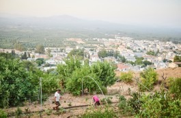 Fotografie auf ein kleines Feld der Melitakes mit Blick über das Dorf Pyrgos, Asteroussia, auf Kreta