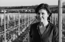 Fotografie von Winzerin Katharina Wechsler