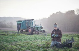 Fotografie Biohof Grossholz – Stimmung auf dem Feld 