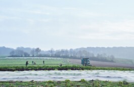 Fotografie Biohof Grossholz - Felder 