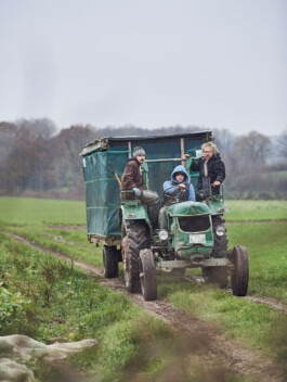Fotografie – Biohof Grossholz Bei der Kohlernte 