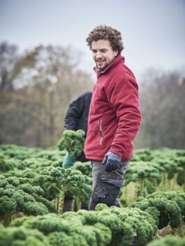 Fotografie – Biohof Grossholz bei der Kohlernte 