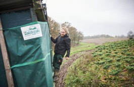 Fotografie – Biohof Grossholz bei der Kohlernte 